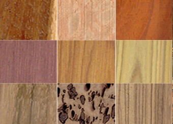 Collector's Exotic Wood Samples for Sale